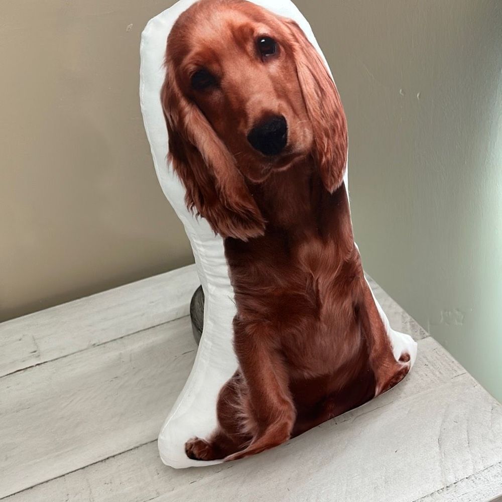 Cocker Spaniel Throw Pillow - Picture 4 of 4